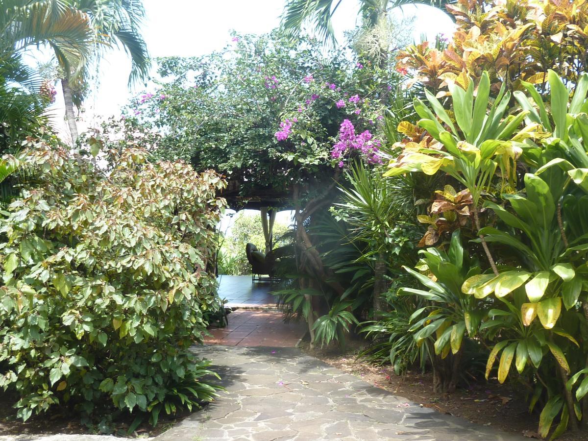 Chambre D'Hotes "Villa Rayon Vert" Deshaies Bagian luar foto